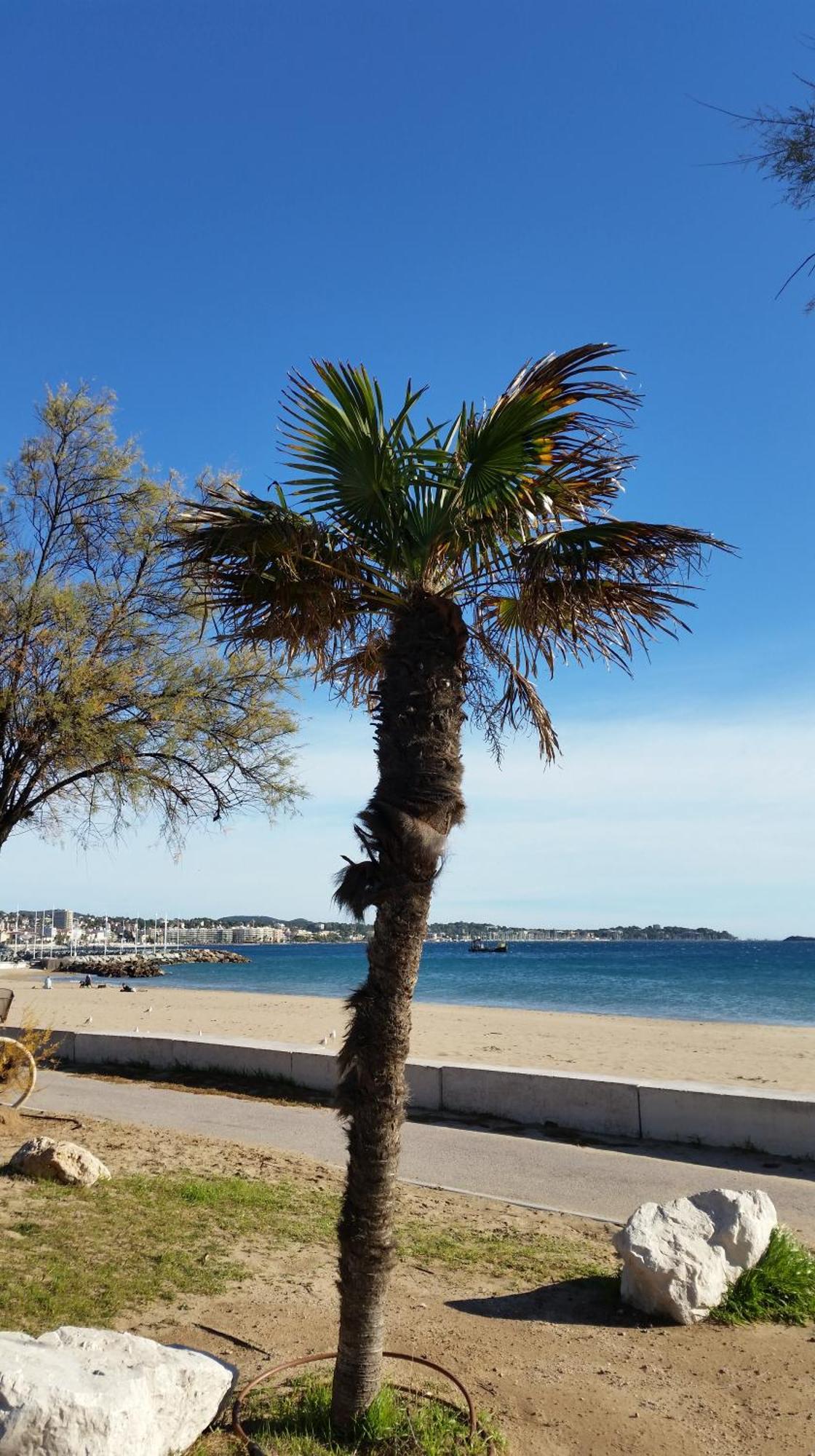 Sublime Vue Mer,Parking,Wifi Frejus Exterior photo