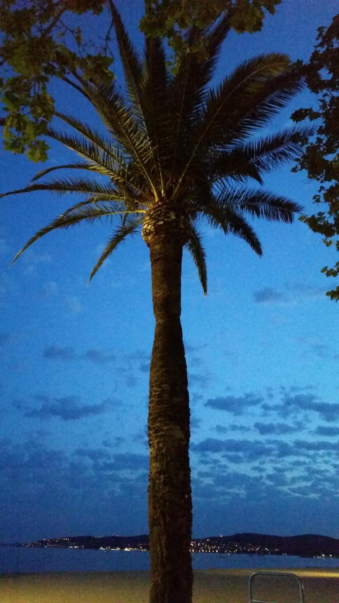 Sublime Vue Mer,Parking,Wifi Frejus Exterior photo